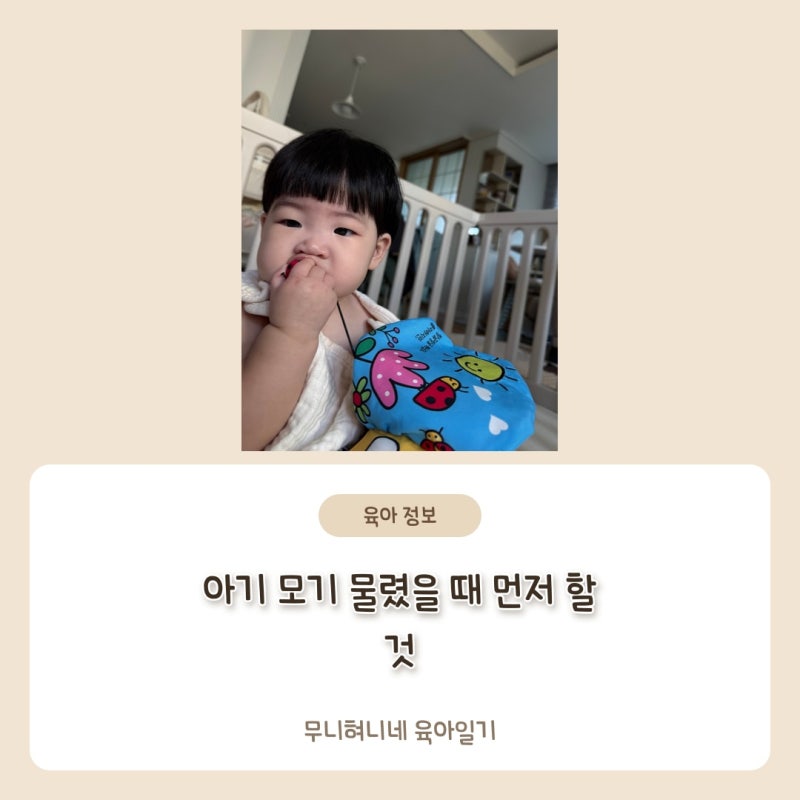 아기 모기 물렸을 때, 부어오르고 가려워할 때 집에서 할 것과 병원 가는 신호