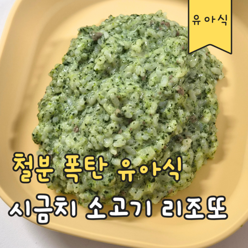 철분 듬뿍 들어간 한그릇 유아식, 고소한 소고기시금치 리조또