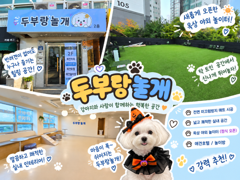 수원 애견카페 위즈파크인근 상주견있는 두부랑놀개