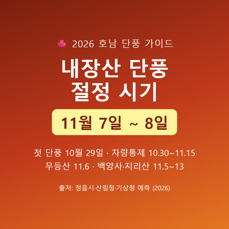 2026 내장산 단풍 절정 시기 | 11월 7~8일 예상, 무등산·백양사까지 호남 단풍 총정리 (차량통제....