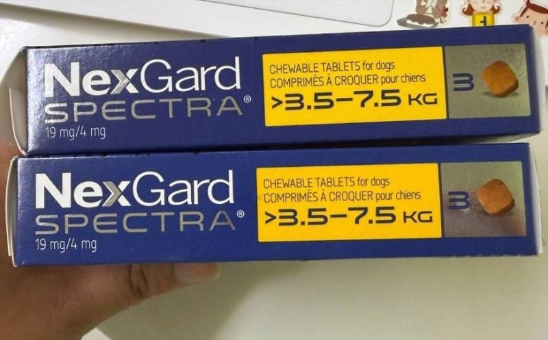 넥스가드 스펙트라 가격 가장 싼 곳은 약국?