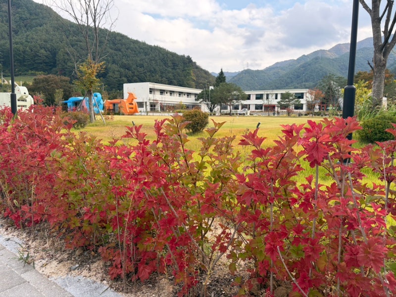 봉화 숙소 추천 산타포레 리조트 바베큐부터 조식까지 솔직후기