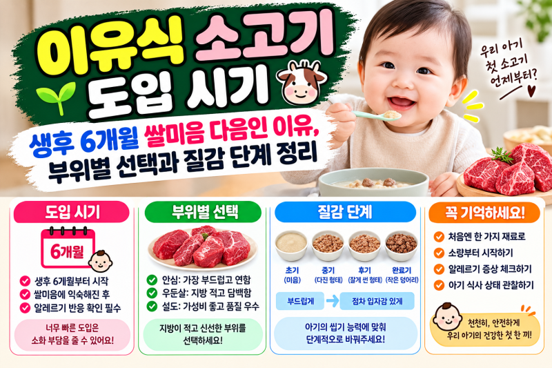 이유식 소고기 도입 시기 — 생후 6개월 쌀미음 다음인 이유, 부위별 선택과 질감 단계 정리