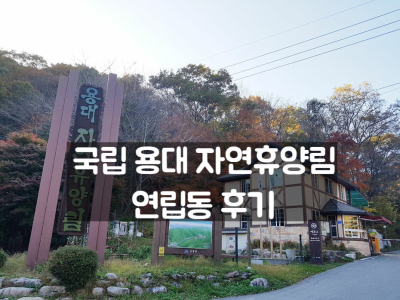강원도 인제 숙소 국립 용대자연휴양림 연립동 겨울 가족숙박 후기