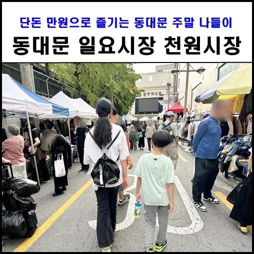 동대문 일요시장 천원시장 주말 가볼만한곳, 운영시간 주차 현금 원단시장 DDP 고망고 코스 ....
