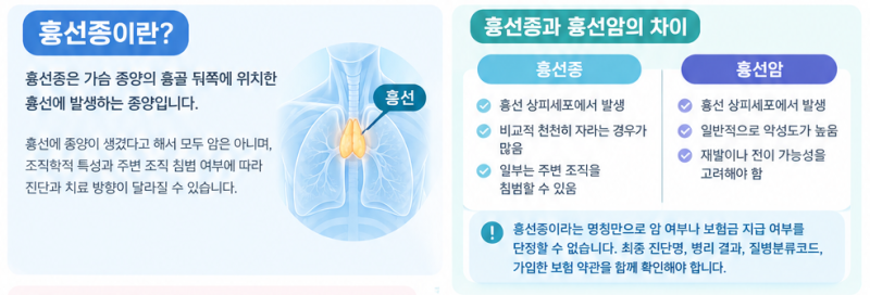 흉선종이란? 치료방법부터 보험금 지급 기준까지