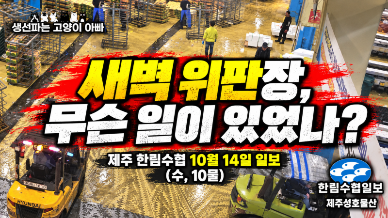 제주 한림수협 10월 14일 (수, 10물) - 해상 풍랑특보 속 갈치·참조기 위판 동향