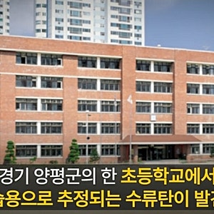 [속보]  경기 양평 초등학교에서 수류탄 발견…학생들 긴급 귀가, 군 폭발물 처리반 출동! 학....