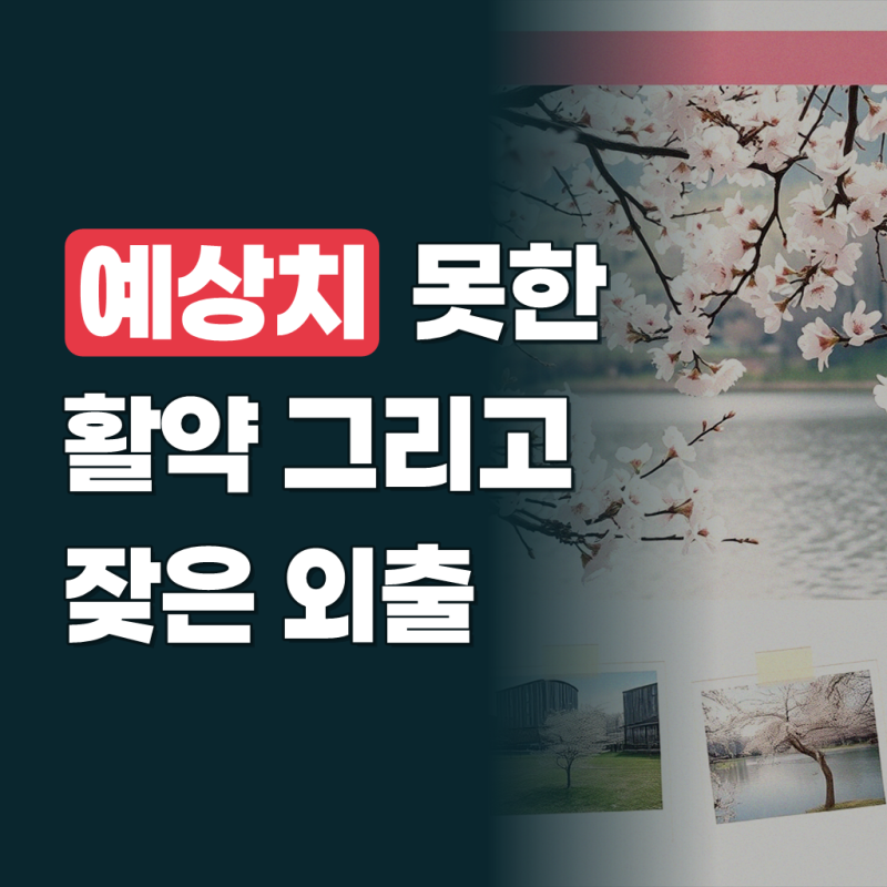 아피스 휴대용의자 중층 좌대 APC-10253 휴대용 민물 낚시의자 가방포함