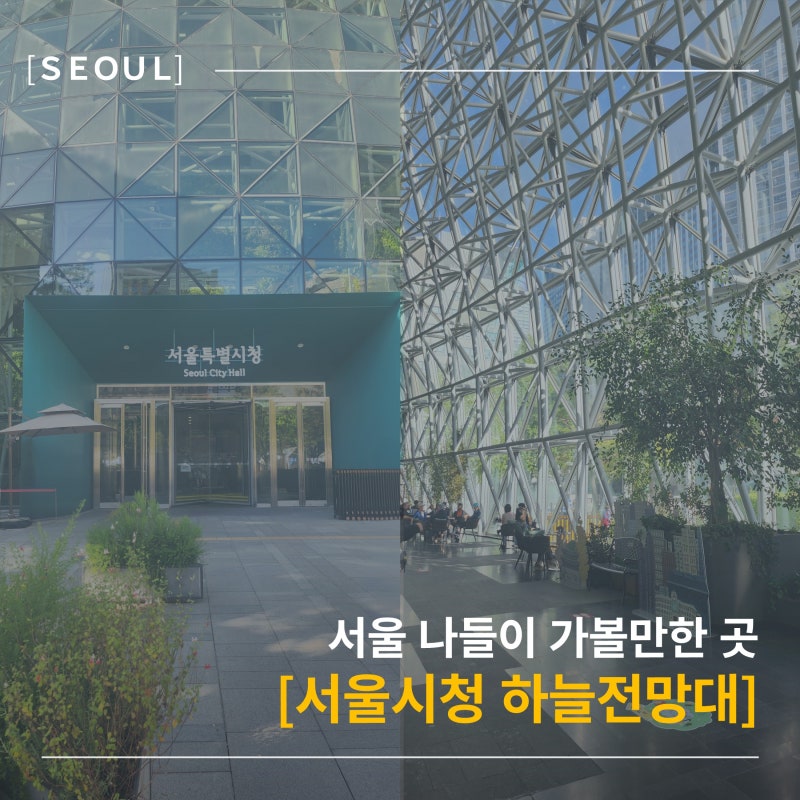 서울시청 하늘전망대 무료 서울 가볼만한곳 시청역 혼자 나들이