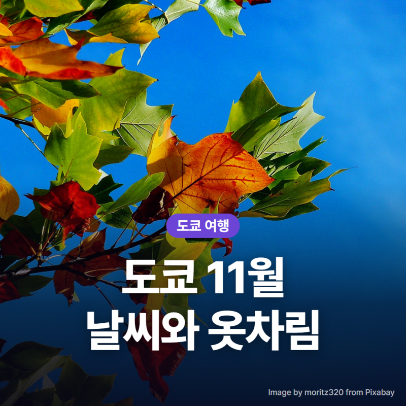도쿄 11월 날씨와 옷차림, 기온·강수량·일교차 한눈에 정리 (2026)