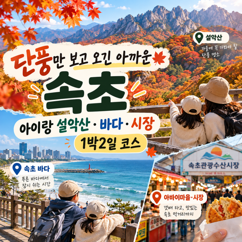 아이랑 속초 단풍여행｜설악산만 보고 오긴 아쉬워요, 바다·시장까지 1박2일 코스