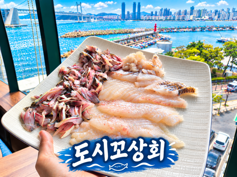 [부산 민락동] 도시꼬상회 : 광안리회센터 호객 없이 푸짐하게 썰어주는 광안리 가성비 회포....