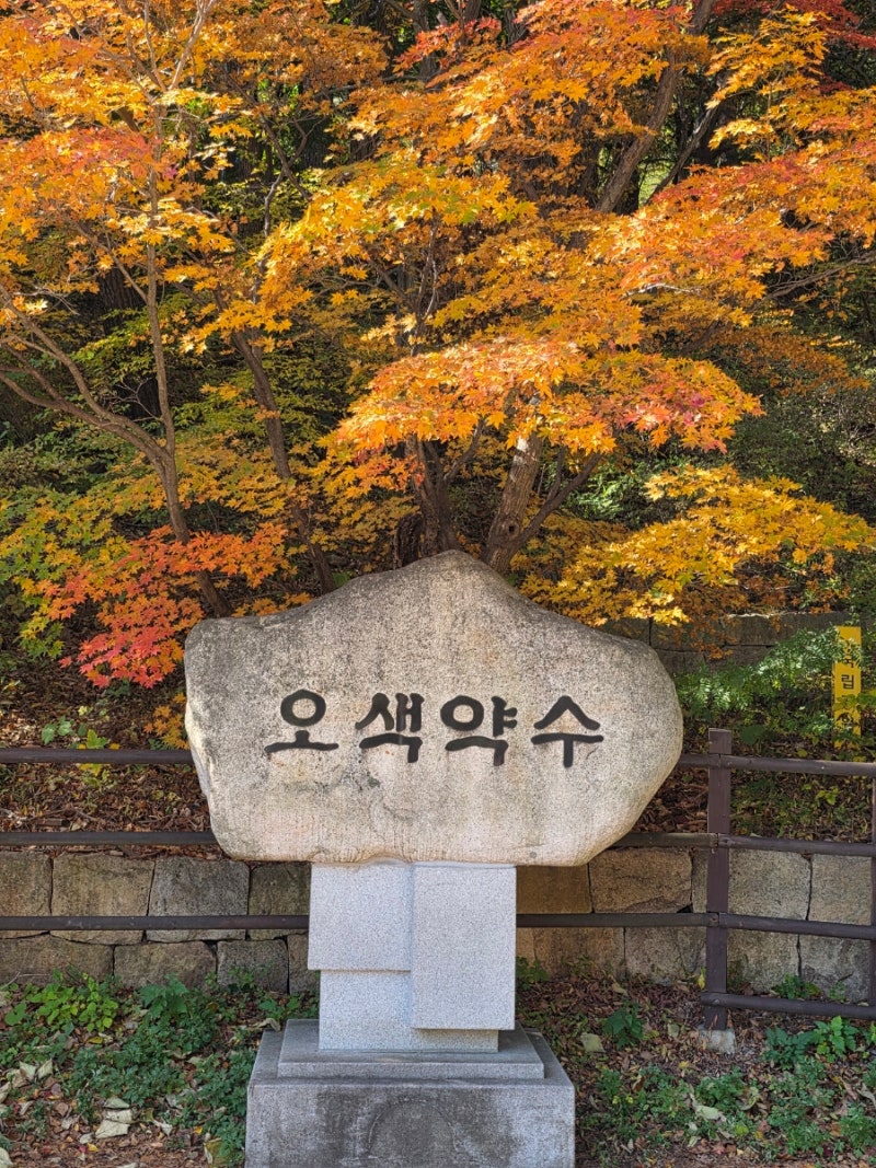 양양 가을여행 추천｜오색 주전골 용소폭포 트레킹, 만송재에서 즐기는 남설악 가을
