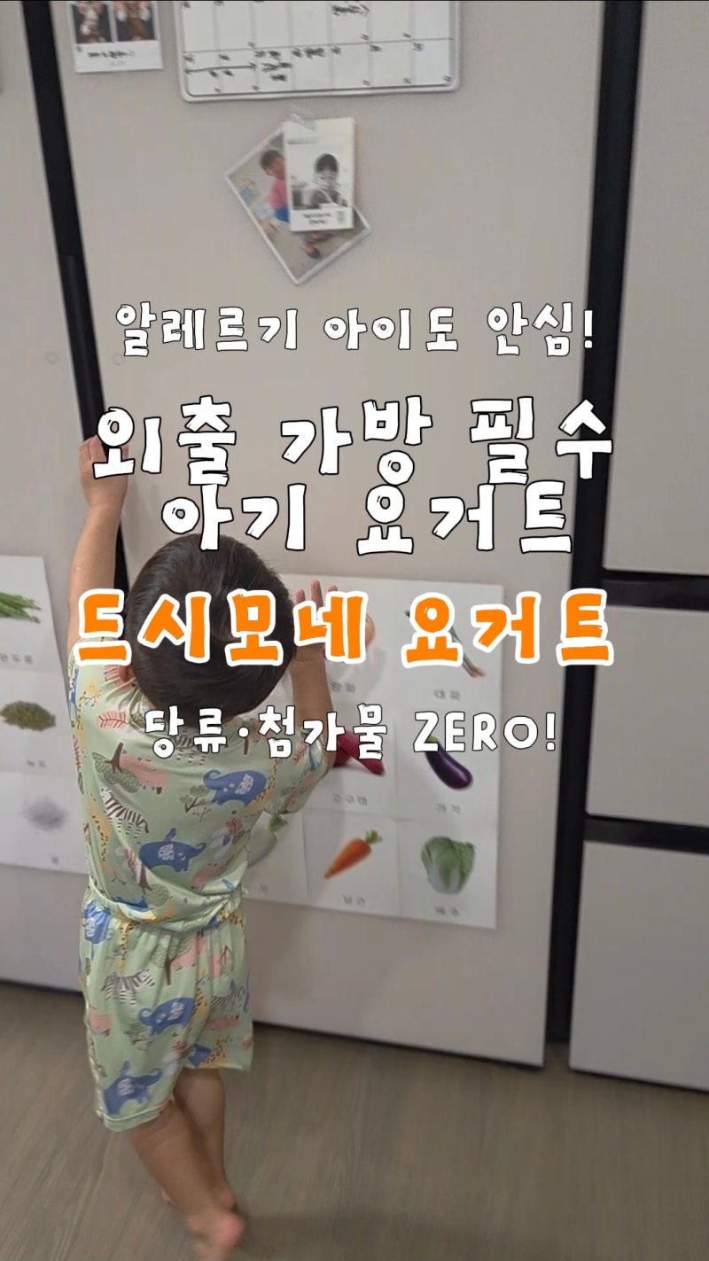 33개월 아이 가을 소풍 아기 간식 추천, 드시모네 키즈 요거트 챙겨 다녀온 후기