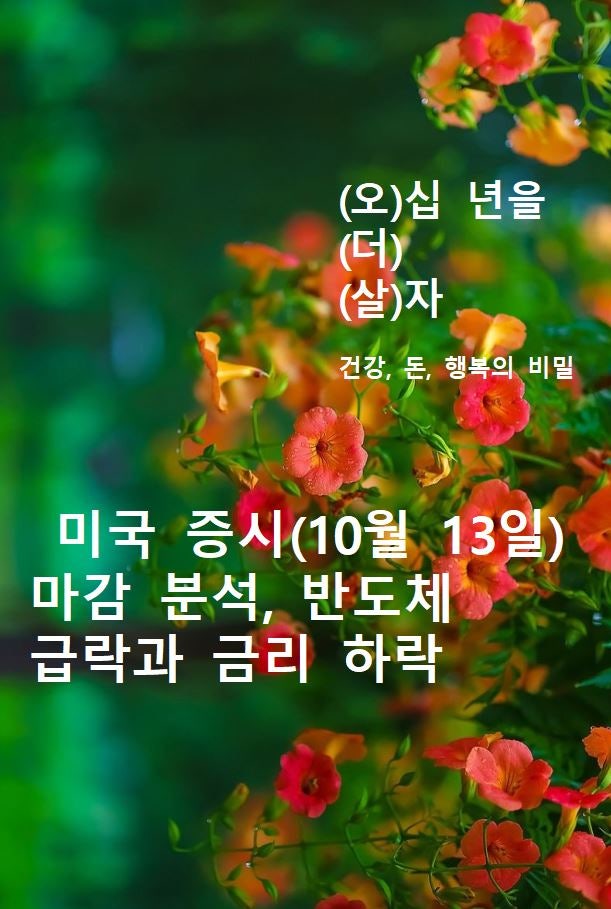 미국 증시(10월 13일) 마감 분석, 반도체 급락과 금리 하락