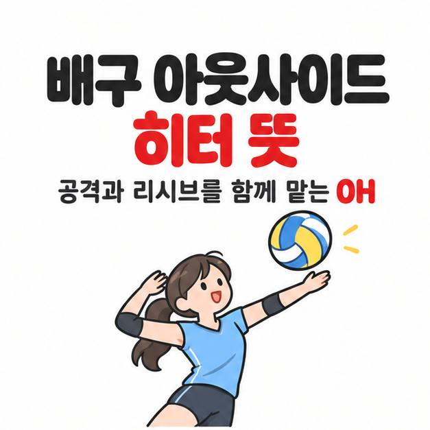 배구 아웃 사이드 히터 <b>뜻</b>, 역할과 다른 포지션과의 차이