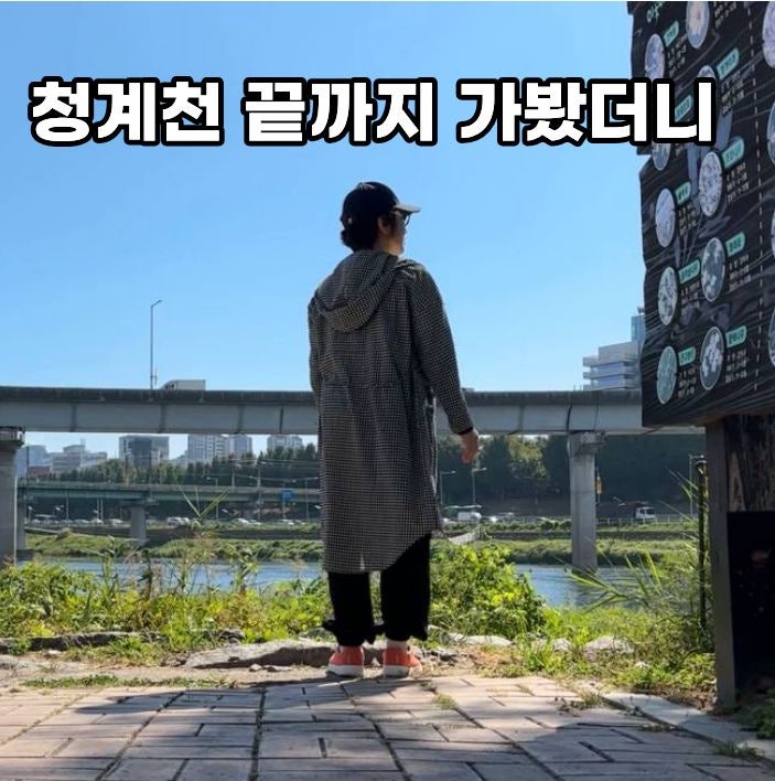 청계천 끝까지 가봤더니 이런 곳이?｜우리가 알던 청계천의 뜻밖의 마지막 풍경