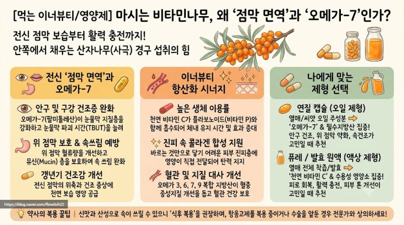 먹는 이너뷰티와 영양제ㅣ마시는 비타민나무, 왜 점막면역과 오메가7인가?⑥
