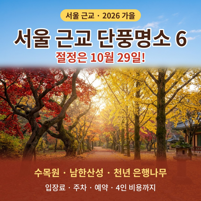 서울 근교 단풍명소 6곳｜수도권 절정 10월 29일, 천년 은행나무부터 수목원까지 어디가 제일 ....