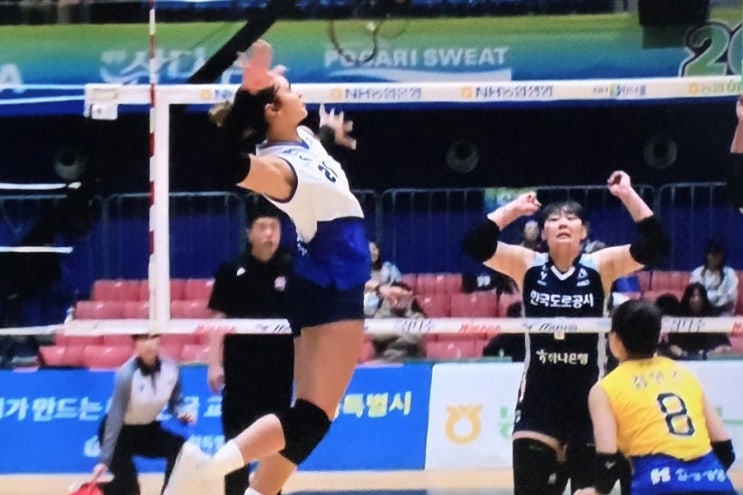 여자<b>배구</b> 현대건설 <b>조던</b> 윌슨, V리그에서 경쟁력이 있을까?