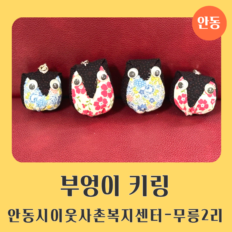 안동시이웃사촌복지센터 정성한땀 마음한땀 무릉 2리 주민들과 부엉이 퀼트 키링 만들기