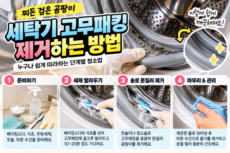 세탁기 고무패킹 검은 곰팡이 제거 방법, 청소해도 다시 생기는 이유와 예방법