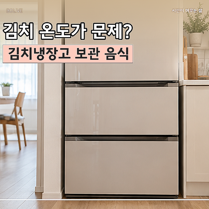 더 신선할 줄 알았는데 얼 수도? 김치냉장고 보관 음식 주의할 점