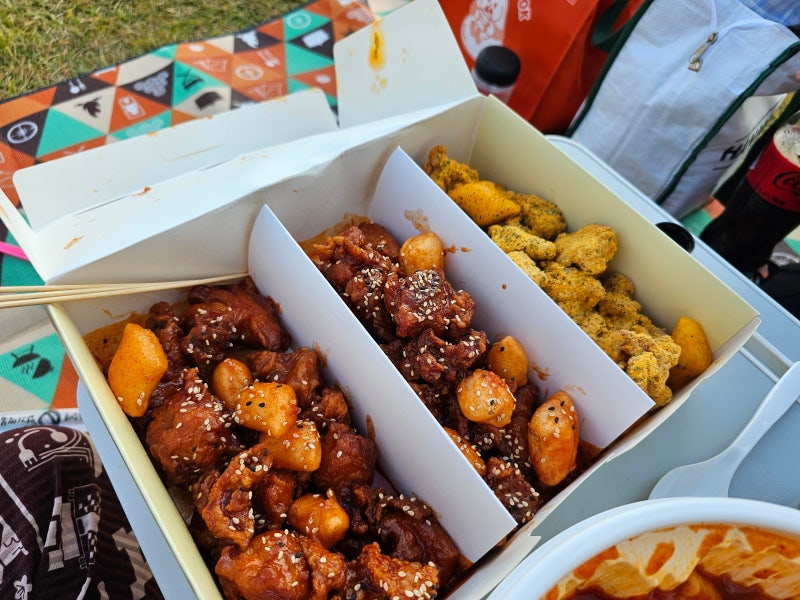 의정부 제일시장 닭강정 맛집 / 닭강정 달곰'S 포장해서 한강 피크닉 다녀온 후기