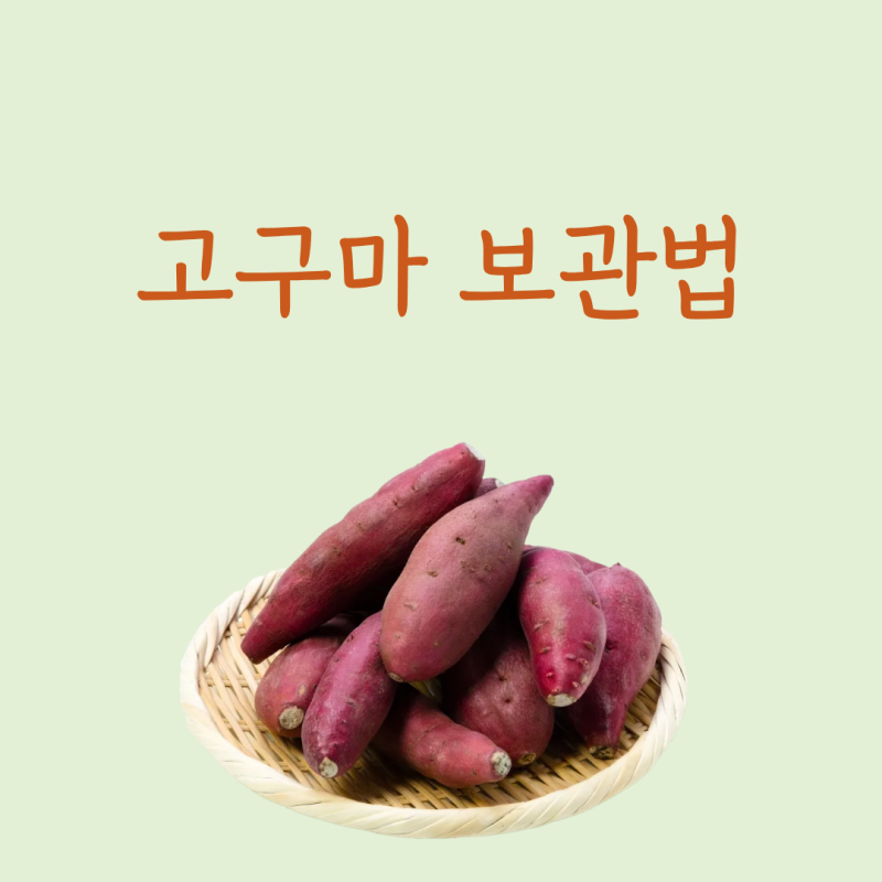 고구마 보관법 알아보기