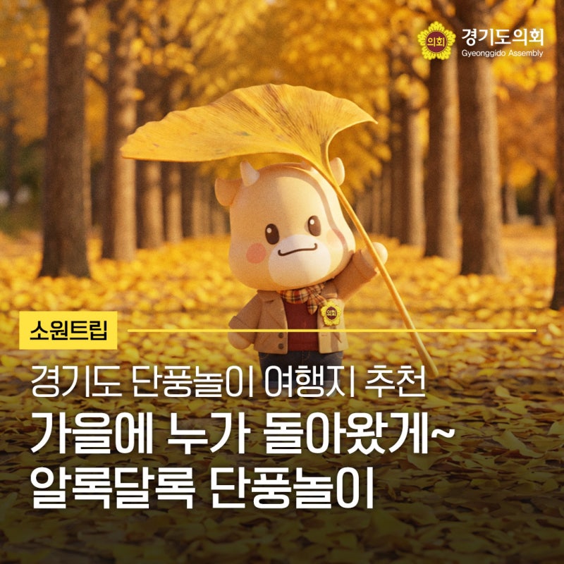 가을에 누가 돌아왔게~ 알록달록 단풍놀이 경기도 단풍놀이 여행지 추천!