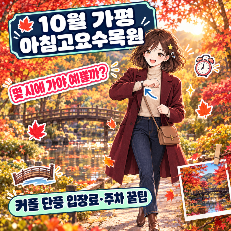 "해 질 녘에 출발하지 마세요" 10월 커플 가평 아침고요수목원 단풍 입장료·주차 꿀팁