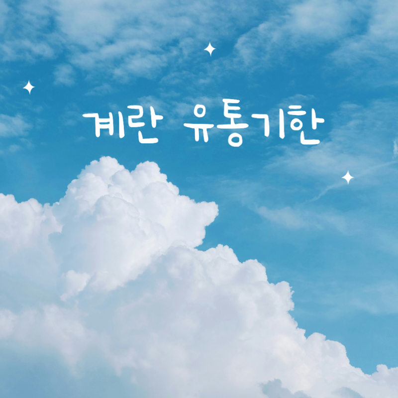 계란 유통기한 지났는데 괜찮을까? 보관법부터 확인법까지 총정리