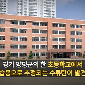 양평 초등학교 언덕서 수류탄 발견…학생 신고에 경찰·군 출동