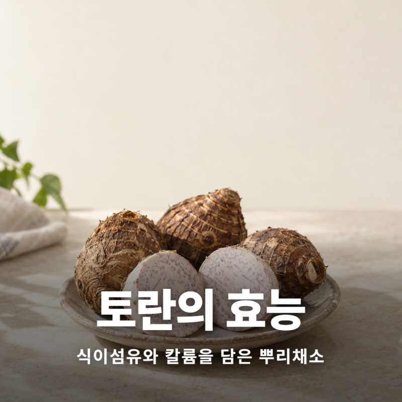 토란 효능과 성분 부작용 칼로리와 보관법