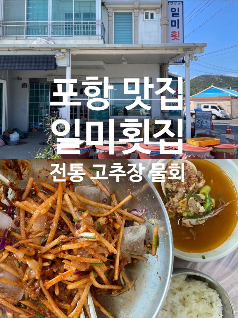 포항 물회 맛집 일미횟집, 전통고추장 물회