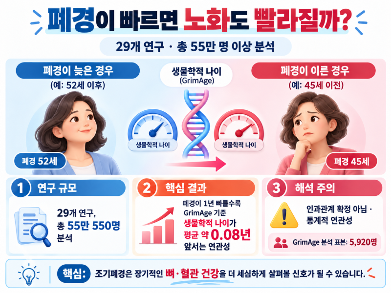 폐경이 빠르면 노화도 빨라질까? 55만 명 연구에서 나온 결과