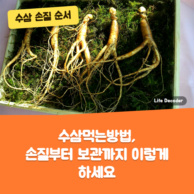 수삼먹는방법, 손질부터 보관까지 이렇게 하세요