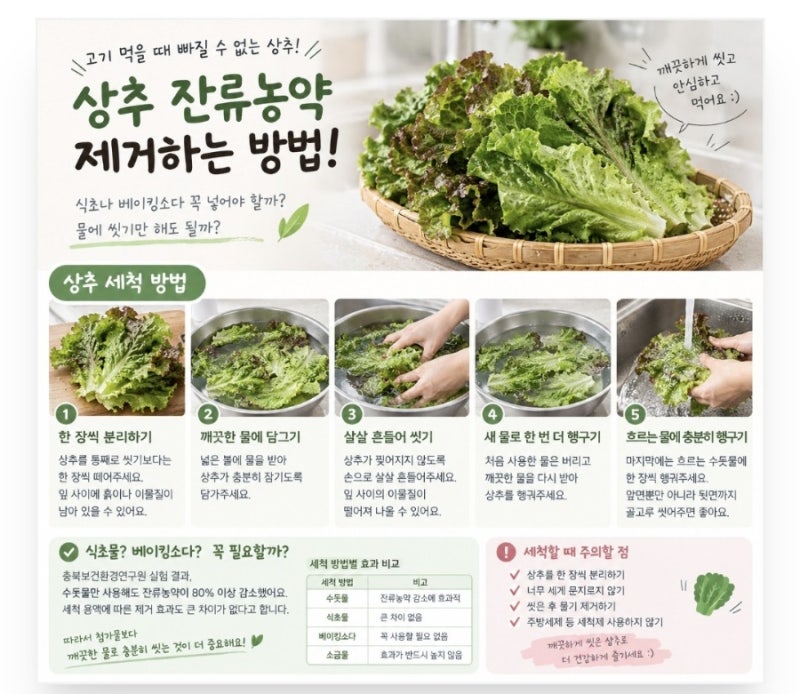 상추 씻는 법 총정리! 잔류농약 제거하는 올바른 세척 방법