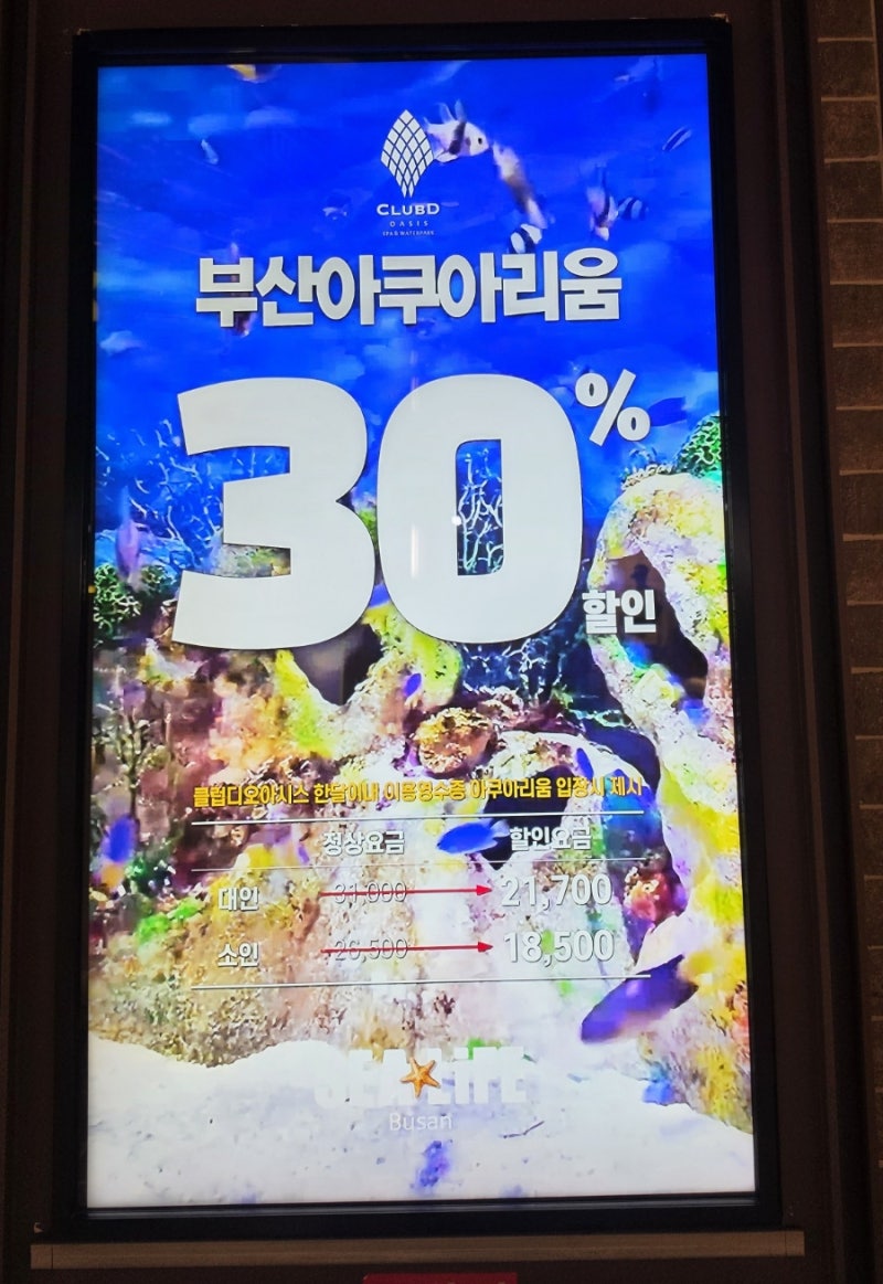 부산 씨라이프 아쿠아리움 할인부터 주차, 전체 공연 시간표까지 완벽 정리!
