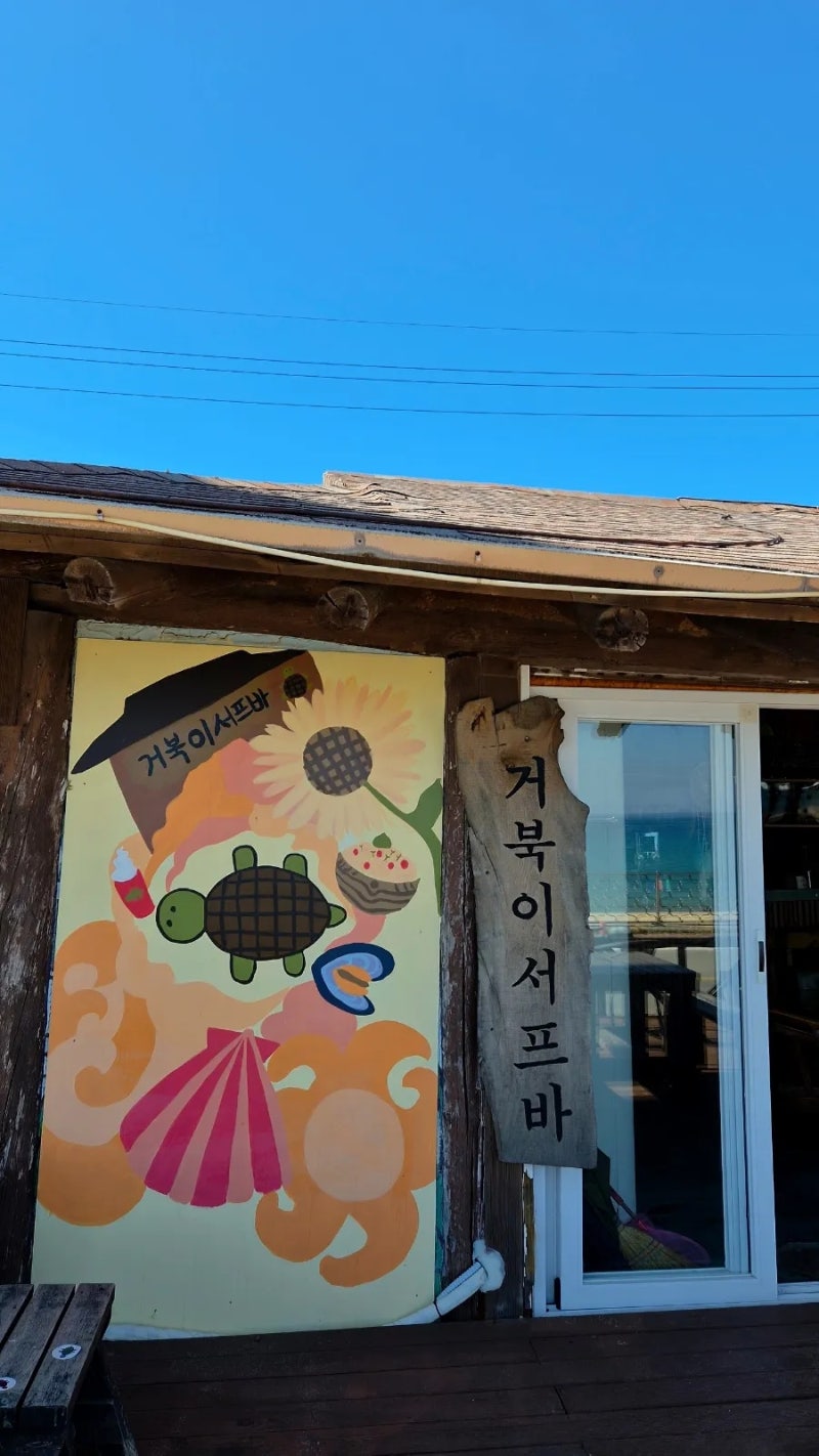 [거북이 서프바] 양양 애견동반 카페 추천, 바다 앞 오션뷰 맛집 총총총=3