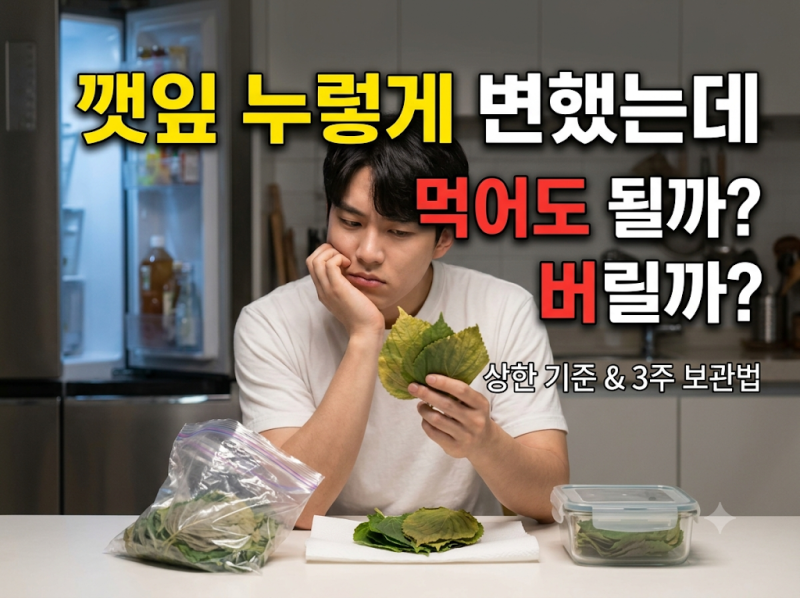 "깻잎 누렇게 변했다고 버리셨나요? 먹어도 되는 상태와 보관법"