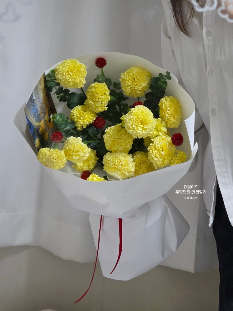 [꽃집 창업 도전기(3)] 광명 서서울화훼단지 vs 강남 고터 꽃시장 & 꽃 컨디셔닝, 열탕처리 방....