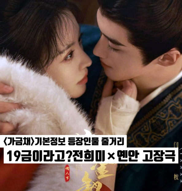 중드 가금채 기본정보 줄거리 등장인물 1인 2역 전희미•옌안 로맨스 고장극 넷플릭스 방영....