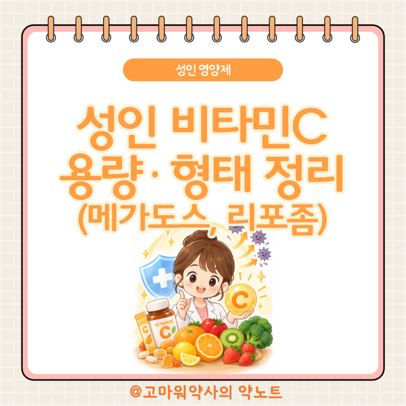 성인 비타민C 감별 약사가 정리, 일반·에스테르·리포좀·메가도스까지 (환절기 면역)