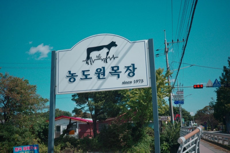 용인 농도원목장 아이와 꼭 가봐야하는 곳