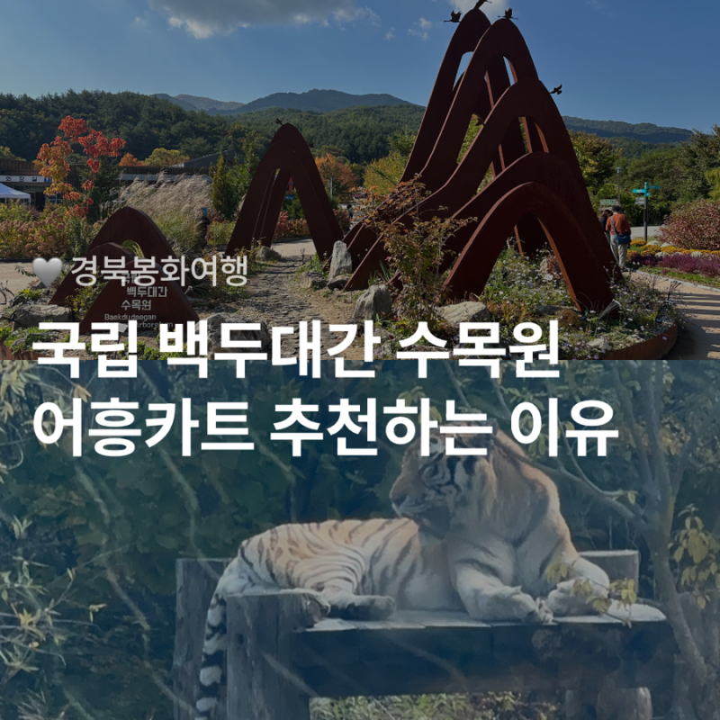 아이랑 봉화 여행 국립백두대간수목원 어흥카트 7인승 후기, 트램 대신 카트를 고른 이유