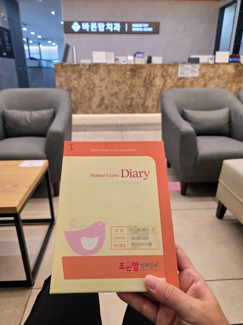 임산부 스케일링 6000원에 받고 온 후기 (치과 할인 혜택 및 적용 방법)