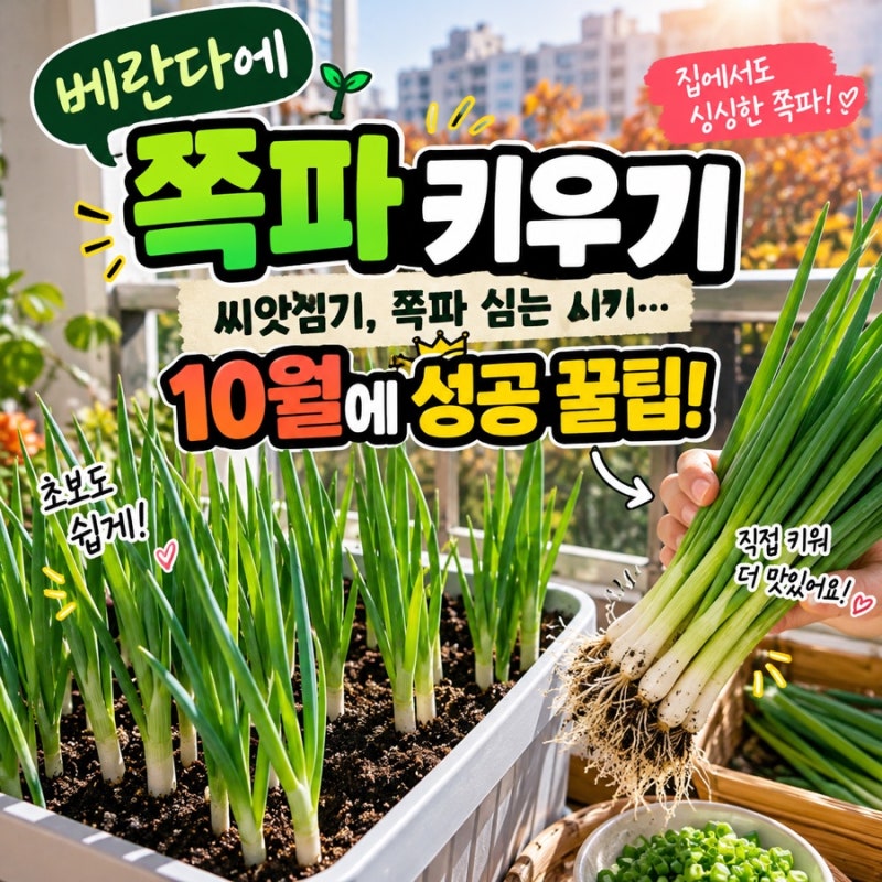 베란다에 쪽파 키우기 - 씨앗심기, 쪽파 심는 시기... 10월에 성공 꿀팁.