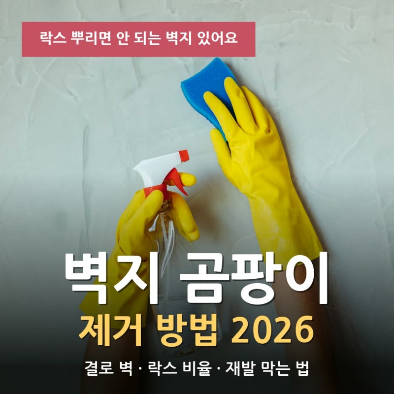 벽지 곰팡이 제거 방법｜결로 생긴 벽, 락스 비율부터 재발 막는 법까지